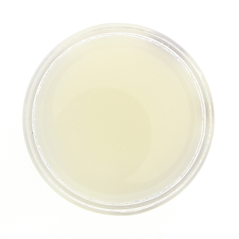 Texture gommage à la noix de coco de la marque Ô Rare