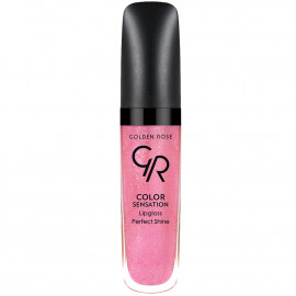 Gloss color sensation - 110 Rosier